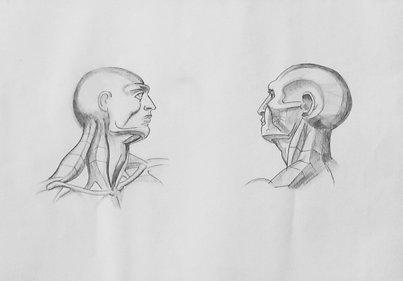 Hand Drawing
